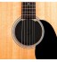 PlanetWaves Akustik Gitar Feed Back Kapağı ( Ses Deliği Kapağı) PW-ASHH-01